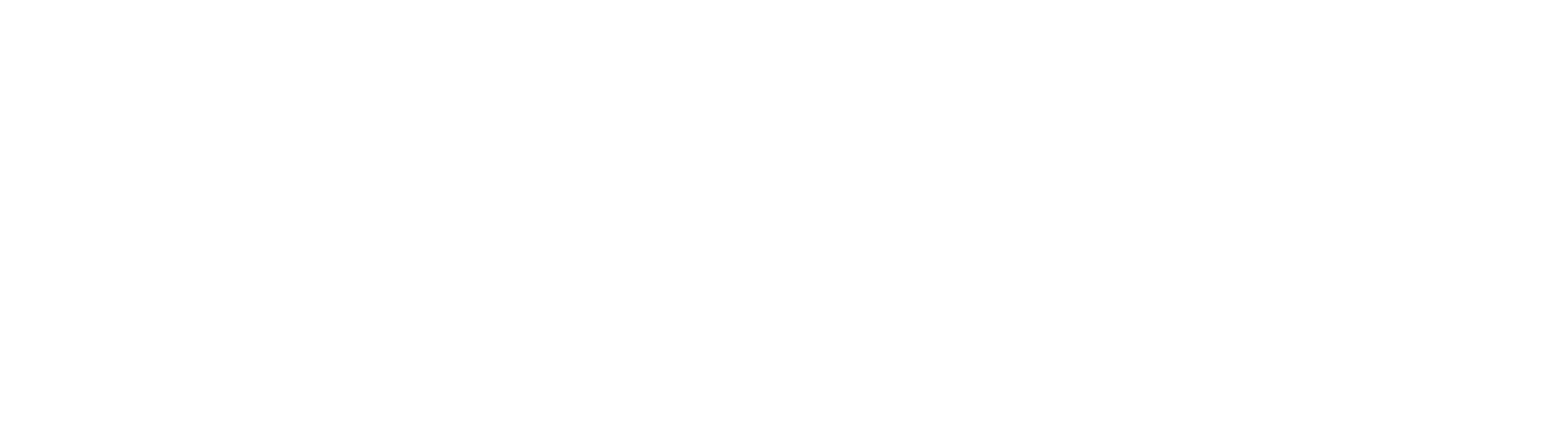 Steinhauer Praxis Logo